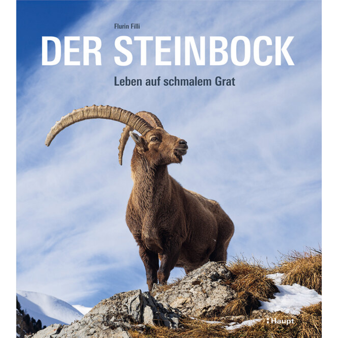 Der Steinbock - Leben auf schmalem Grat von Flurin Filli