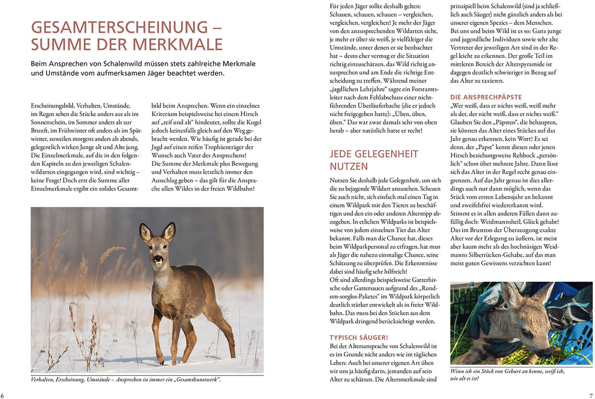 Die Altersansprache des Schalenwilds - Merkmale