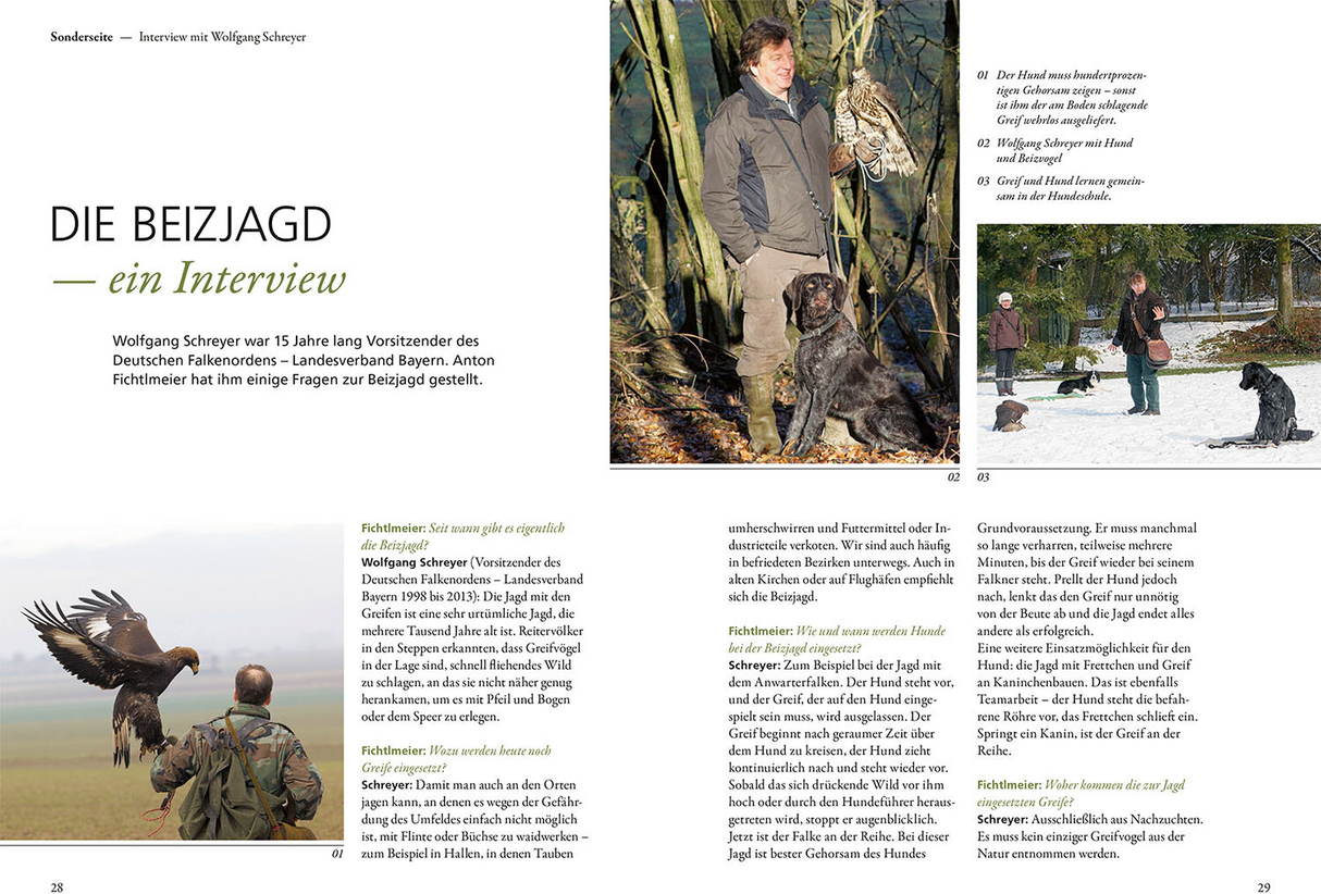 Die Ausbildung des Jagdhundes - Beizjagd