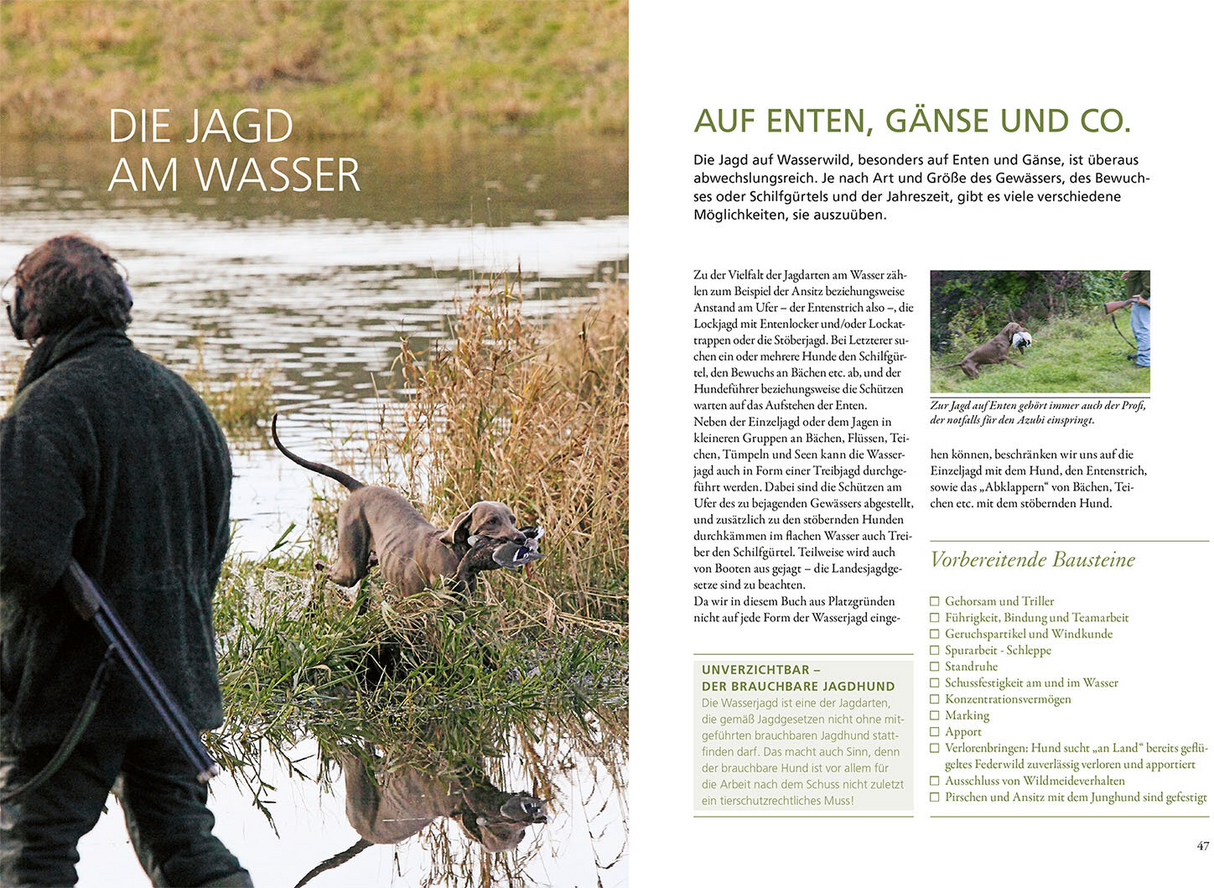 Die Ausbildung des Jagdhundes - Jagd im Wasser