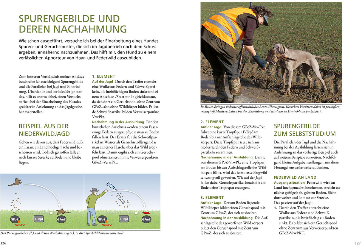 Die Ausbildung des Jagdhundes - Spurengebilde