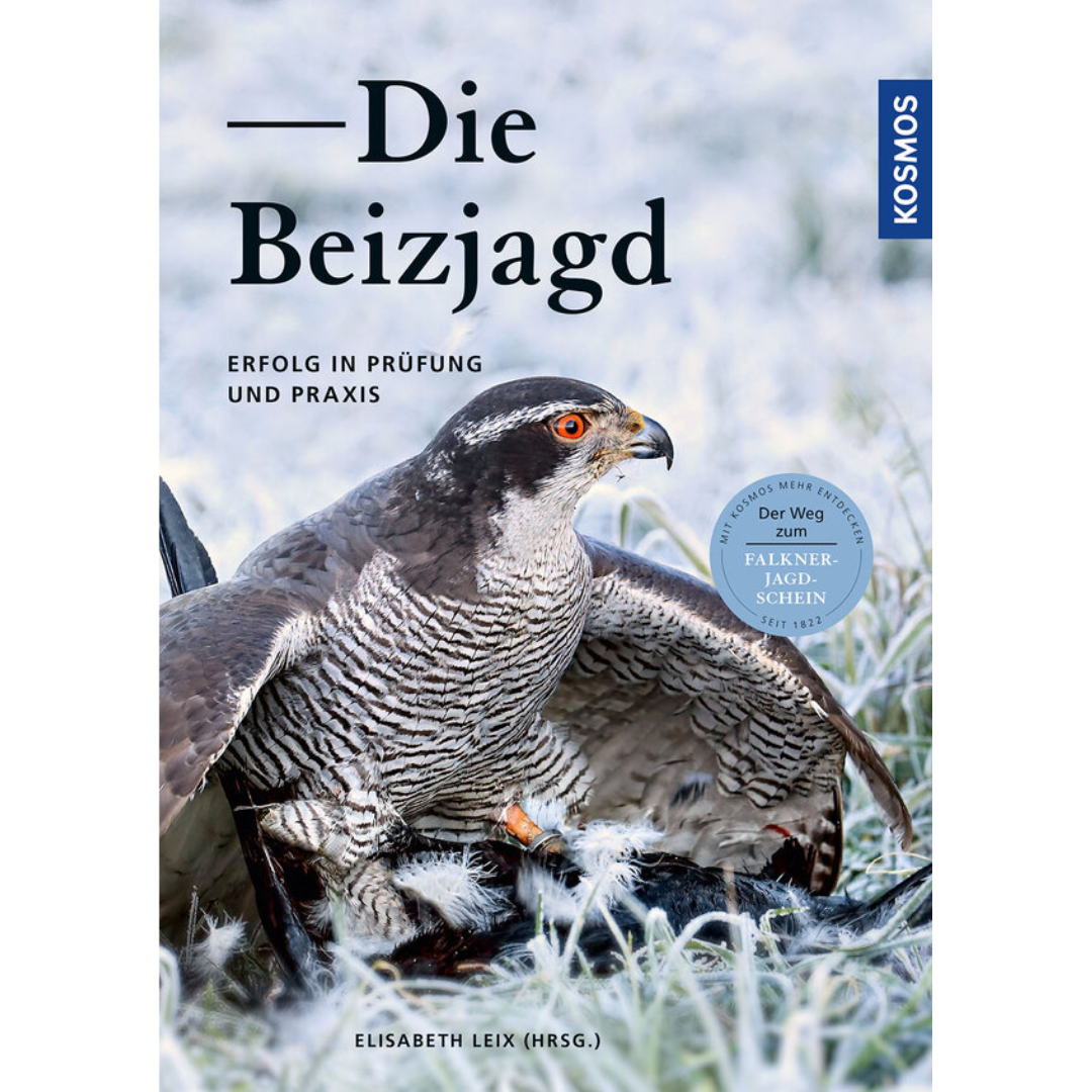 Die Beizjagd