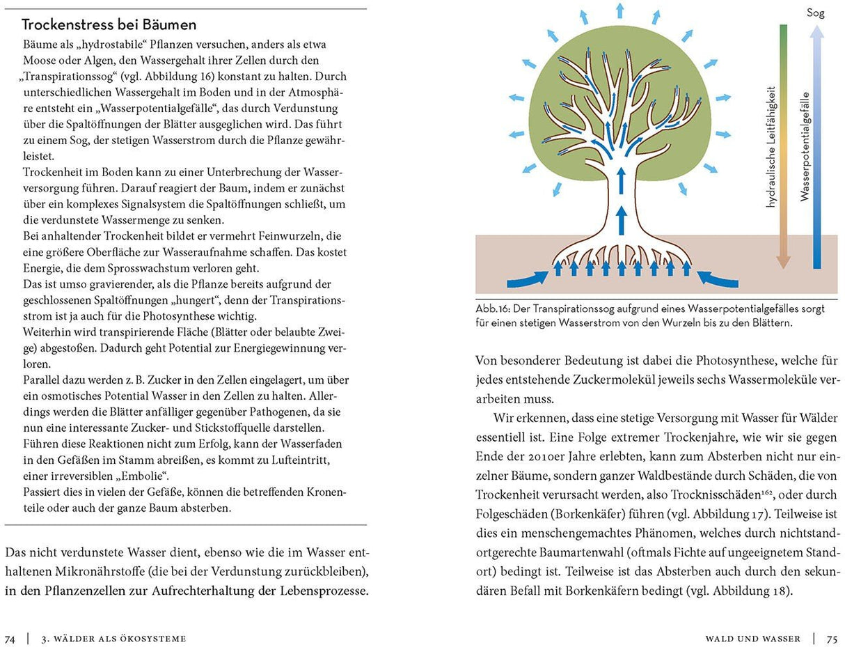Die Sache mit dem Wald Innenansicht 2