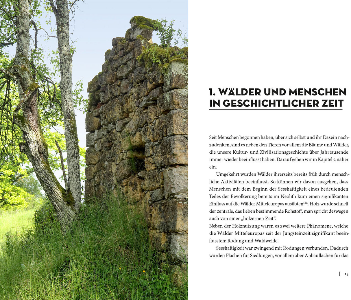 Die Sache mit dem Wald - Wälder und Menschen