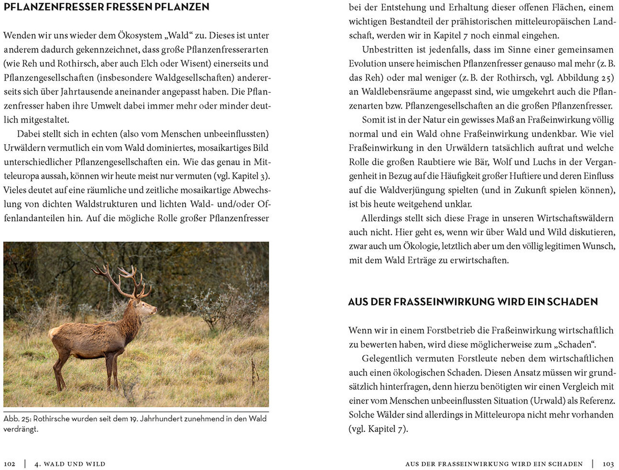 Die Sache mit dem Wald - Frasseinwirkung