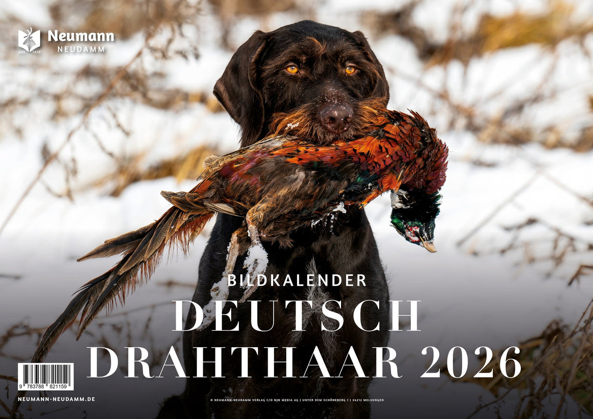 Deutsch Drahthaar Kalender 2026