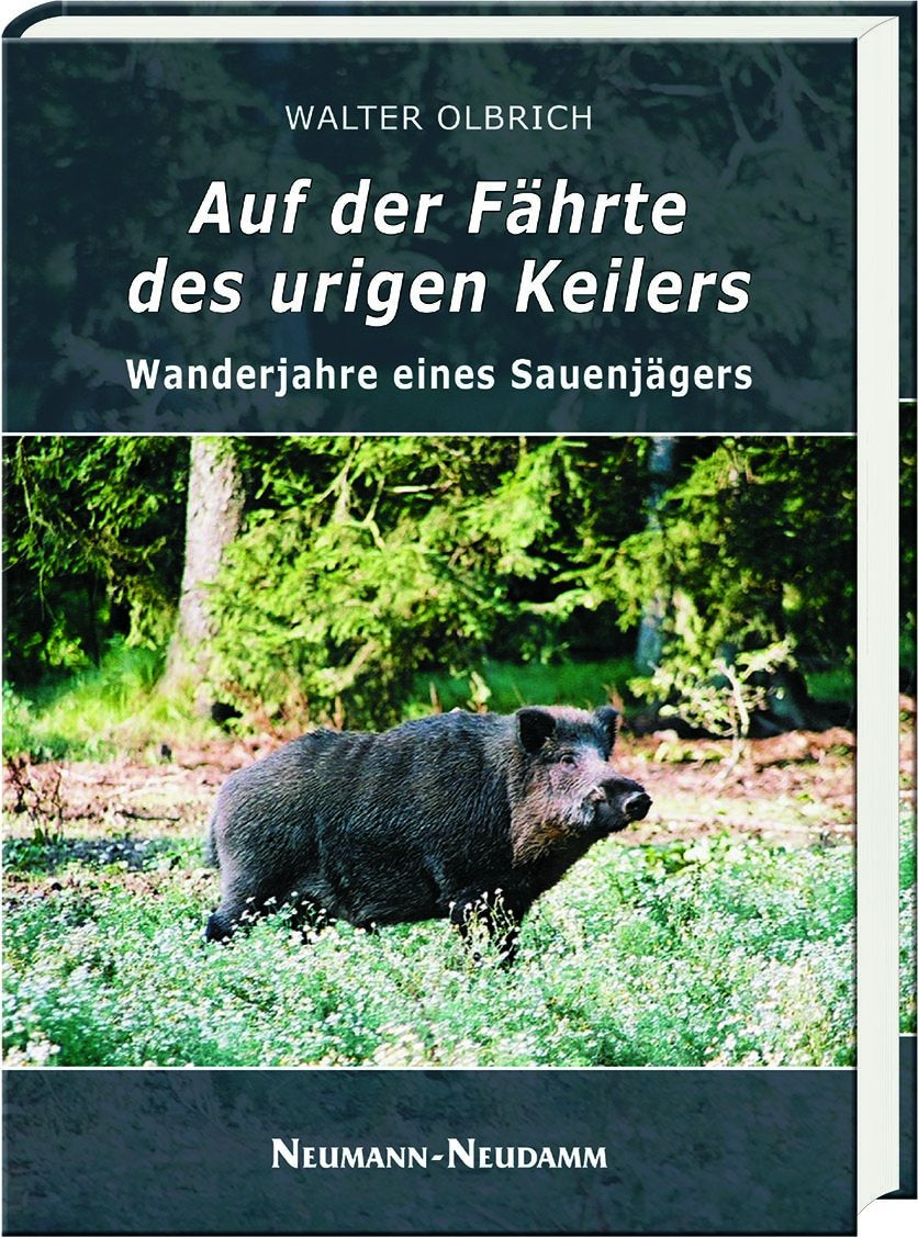 auf der faehrte des urigen keilers