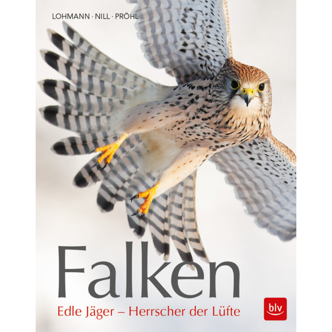 Falken - Edle Jäger - Herrscher der Lüfte von Michael Lohmann