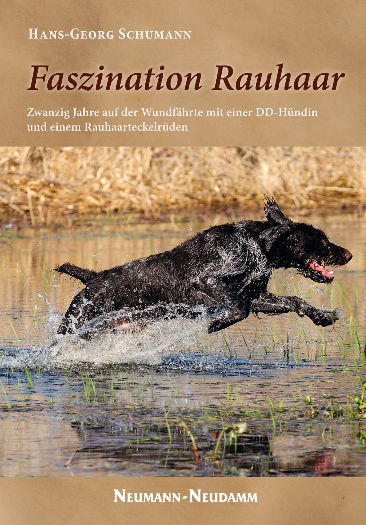 faszination rauhaar schumann buch