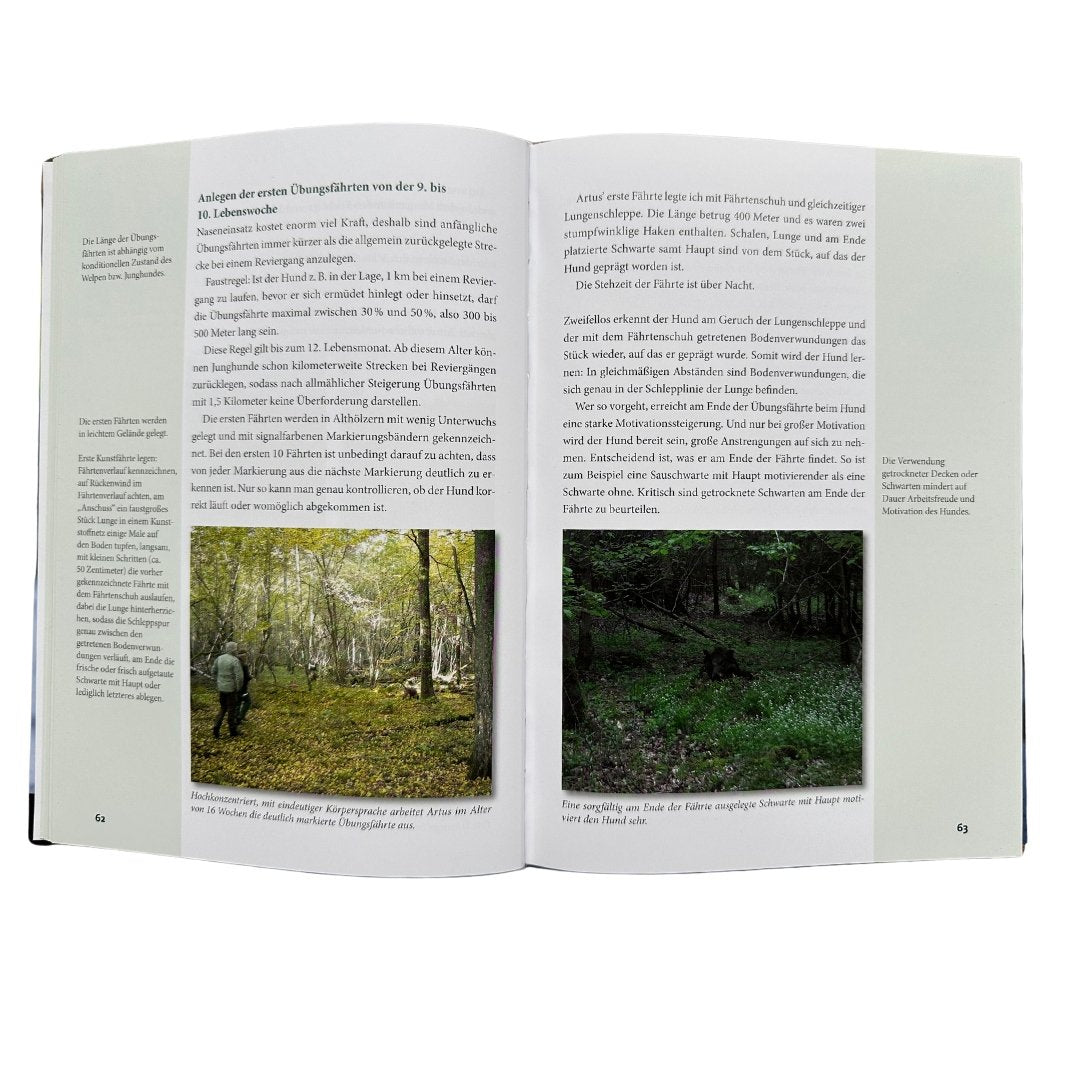 wie man einen schweisshund macht fischer