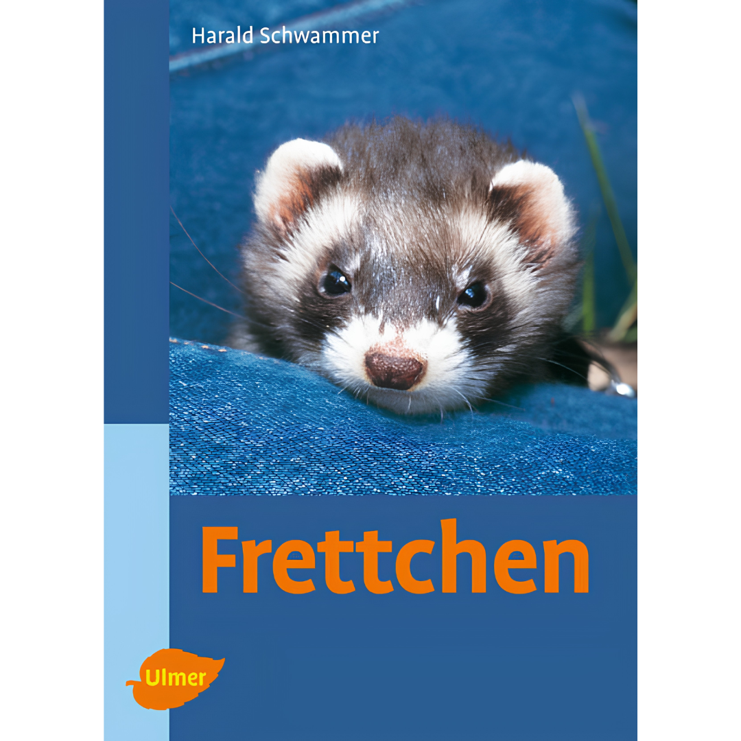 Frettchen - Harald Schwammer