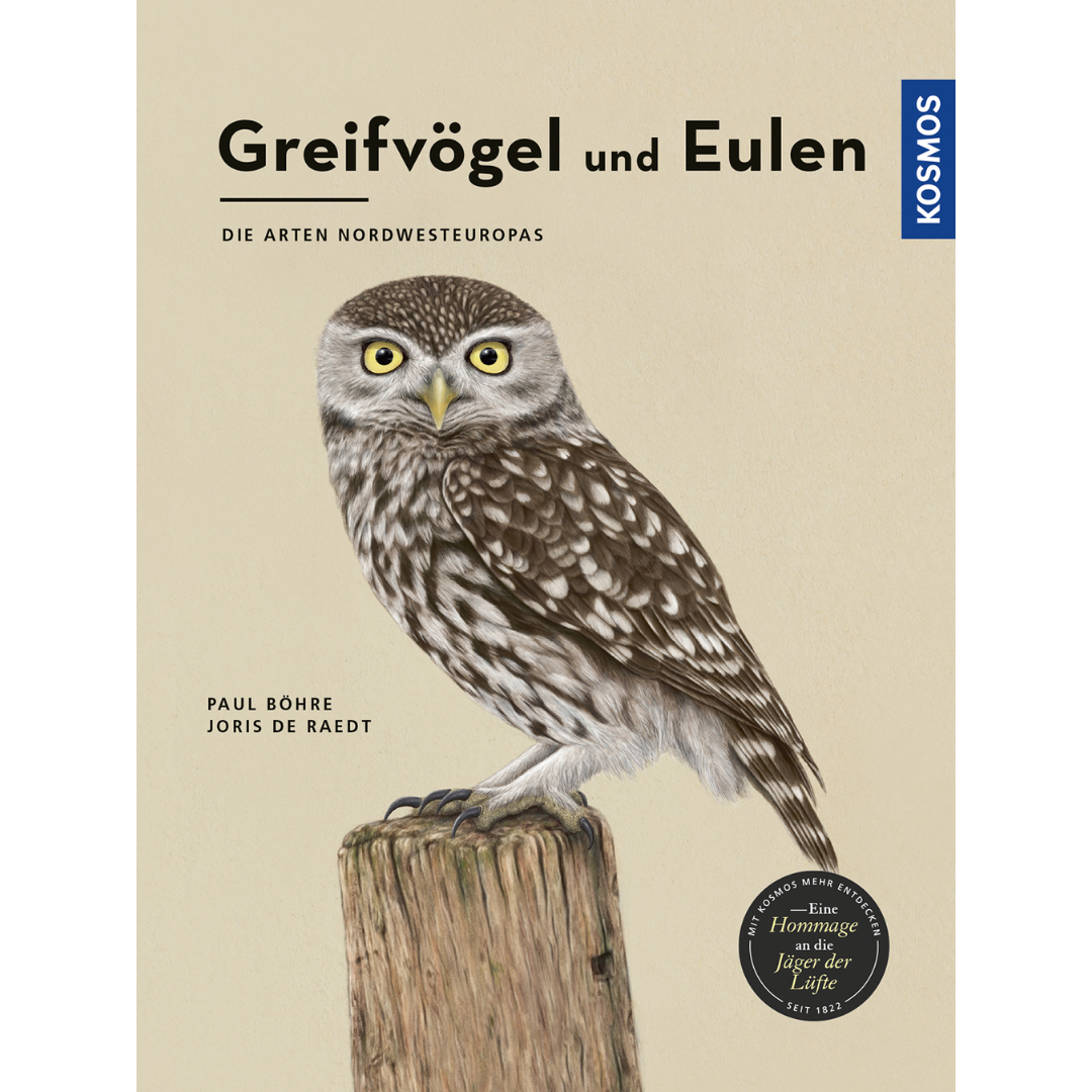 Greifvögel und Eulen