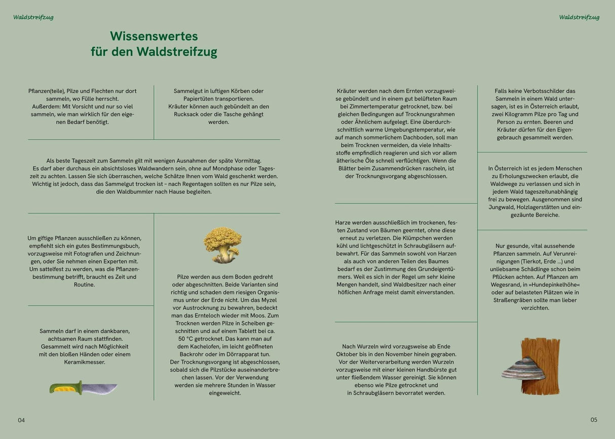 Grosse Waldapotheke Innenansicht