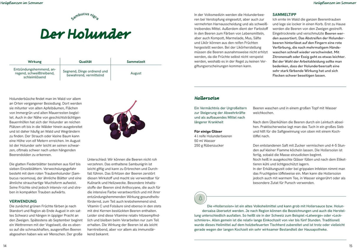 grosse waldapotheke innenseite holunder