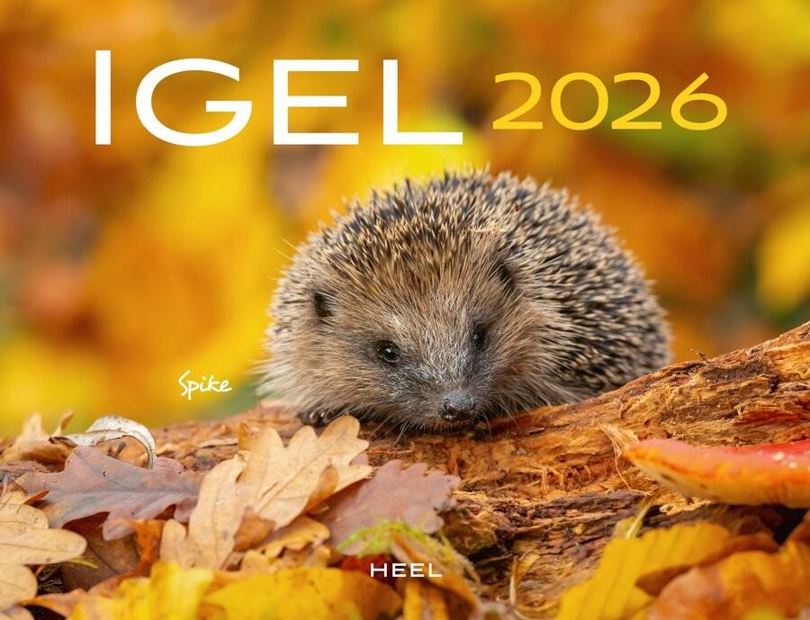 Igel Kalender 2026