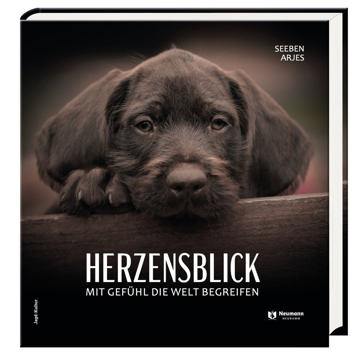 Herzensblick Seeben Arjes Buchcover