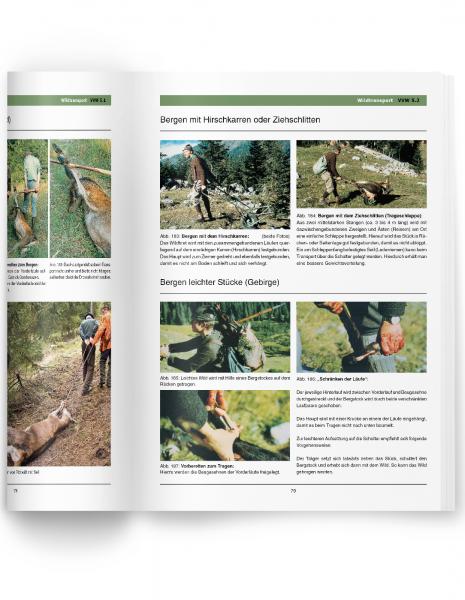 Heintges Wildkrankheiten von Wild