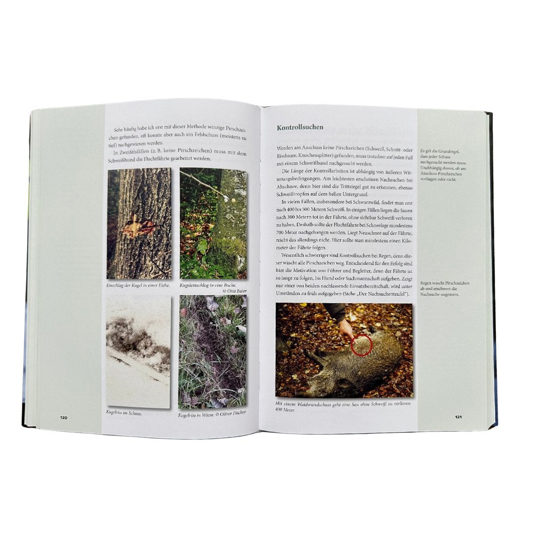 schweisshund ausbildung buch