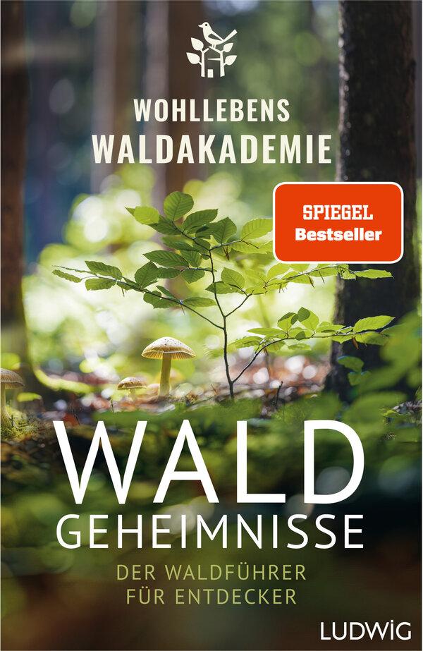 Waldgeheimnisse