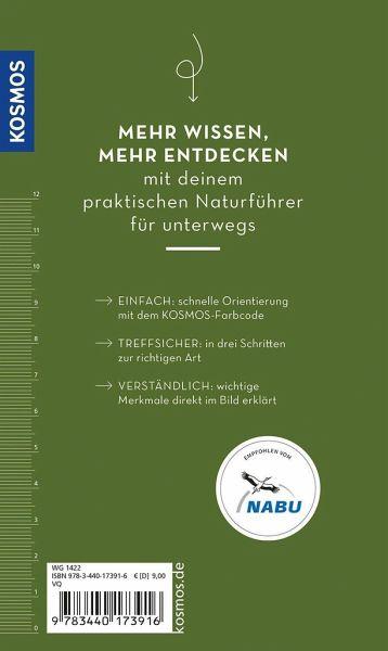 Basic Insekten Rueckseite Cover