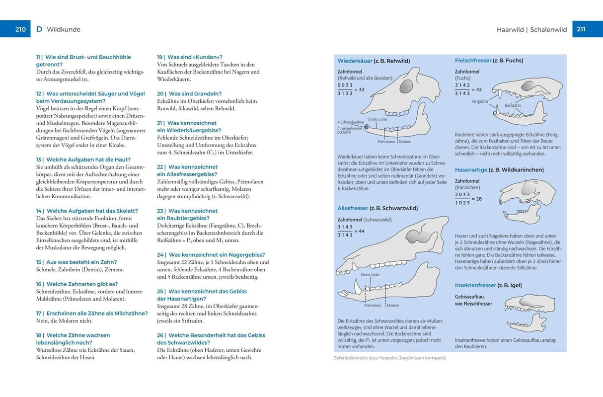 jaegerpruefung krebs buch blv