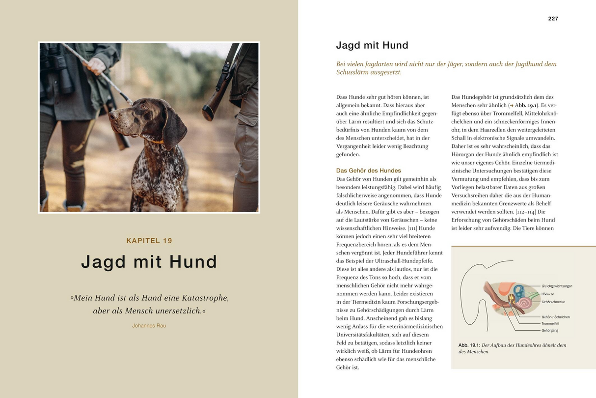 Jagd mit Schalldämpfer - Jagd mit Hund