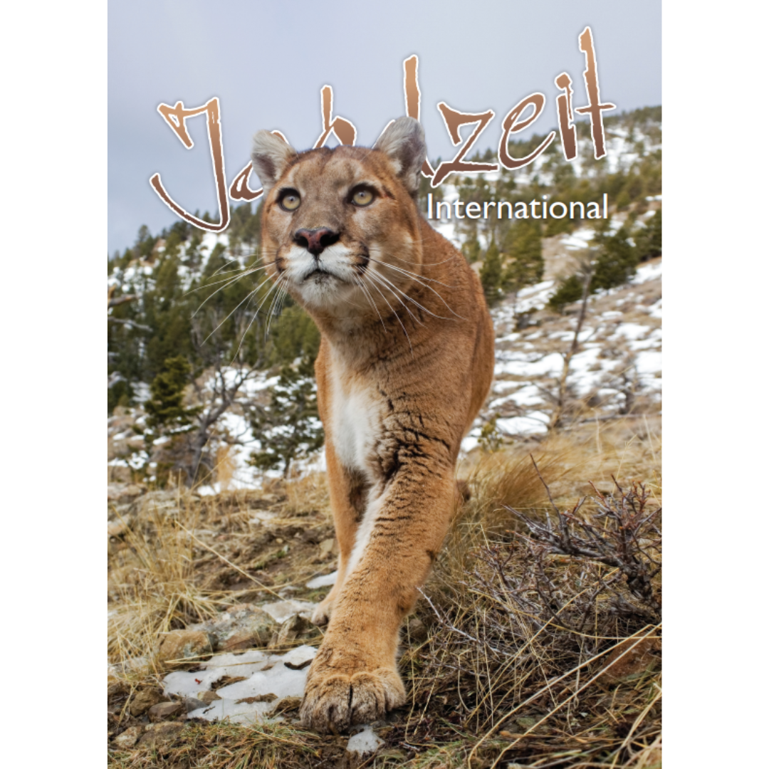 Jagdzeit Ausgabe 19