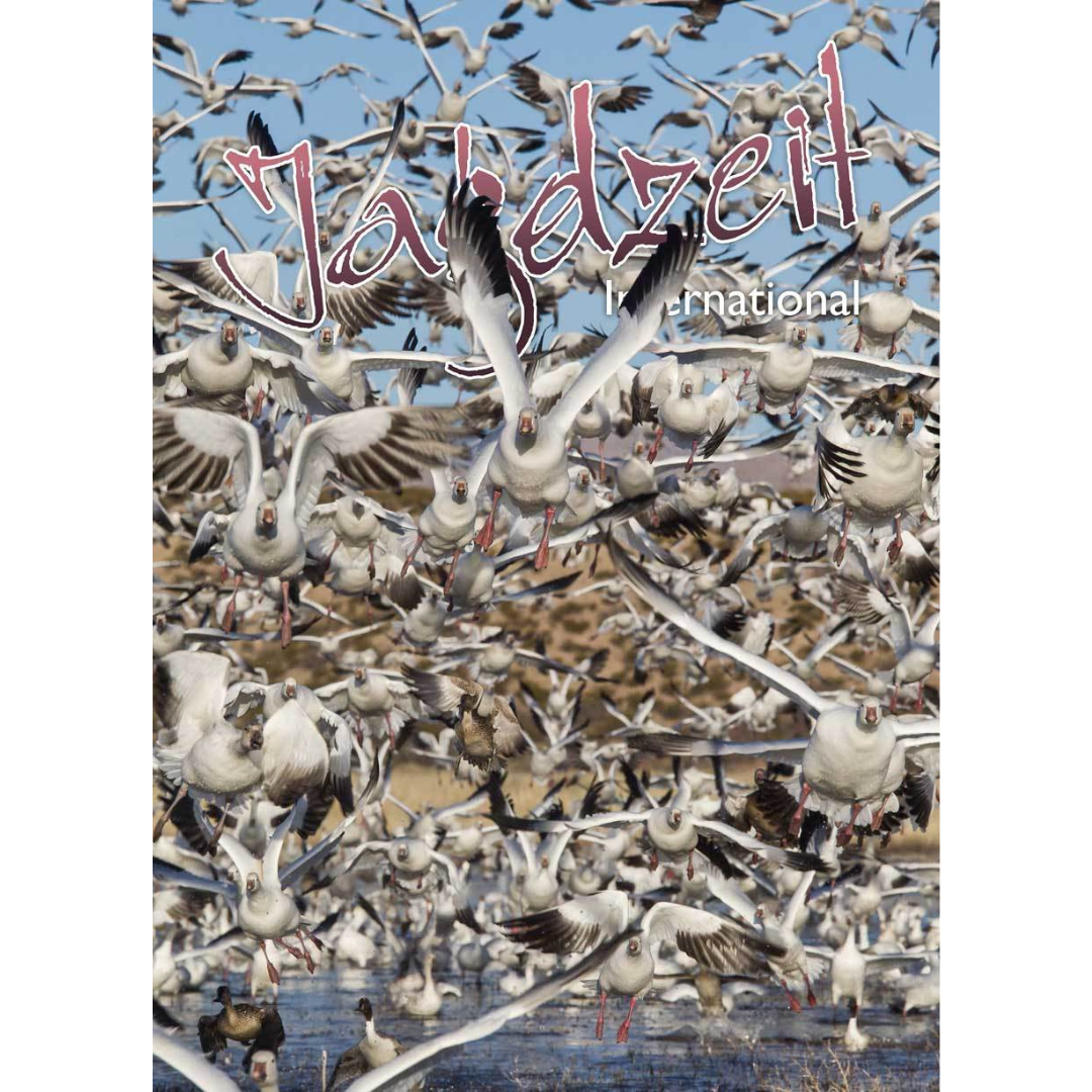 Jagdzeit Ausgabe 22