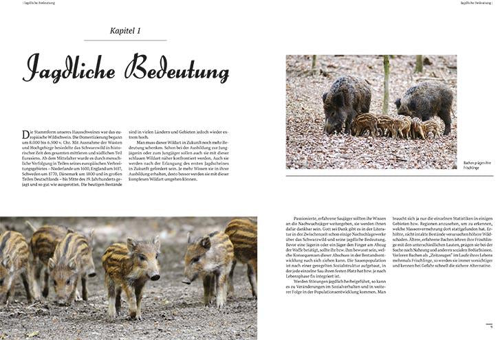 jagdbuch jagderzaehlungen