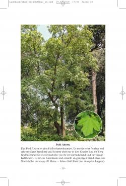 Laubbäume, Fladenhofer/Wirnsberger