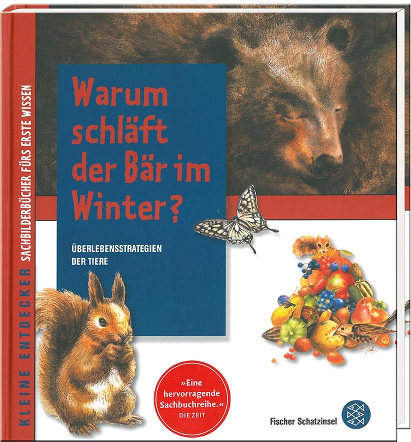 Warum schläft der Bär im Winter?