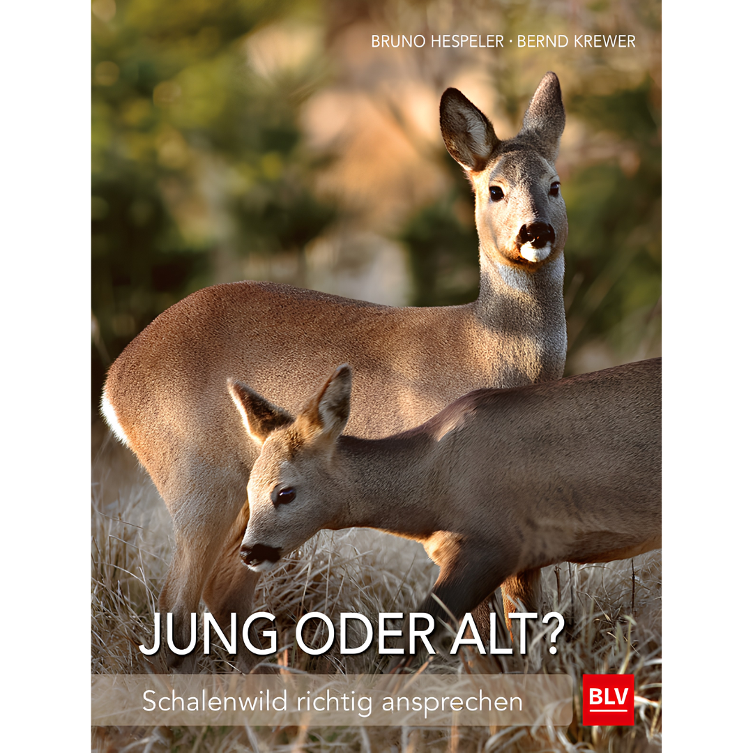 Jung oder alt? - Schalenwild richtig ansprechen