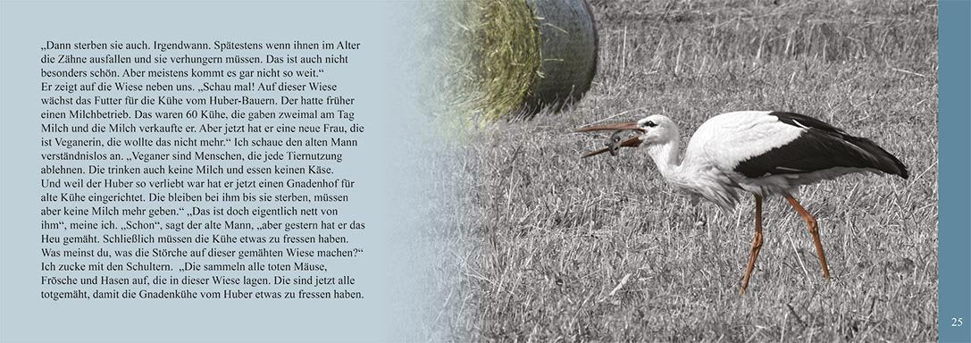 kinderbuch jagd natur