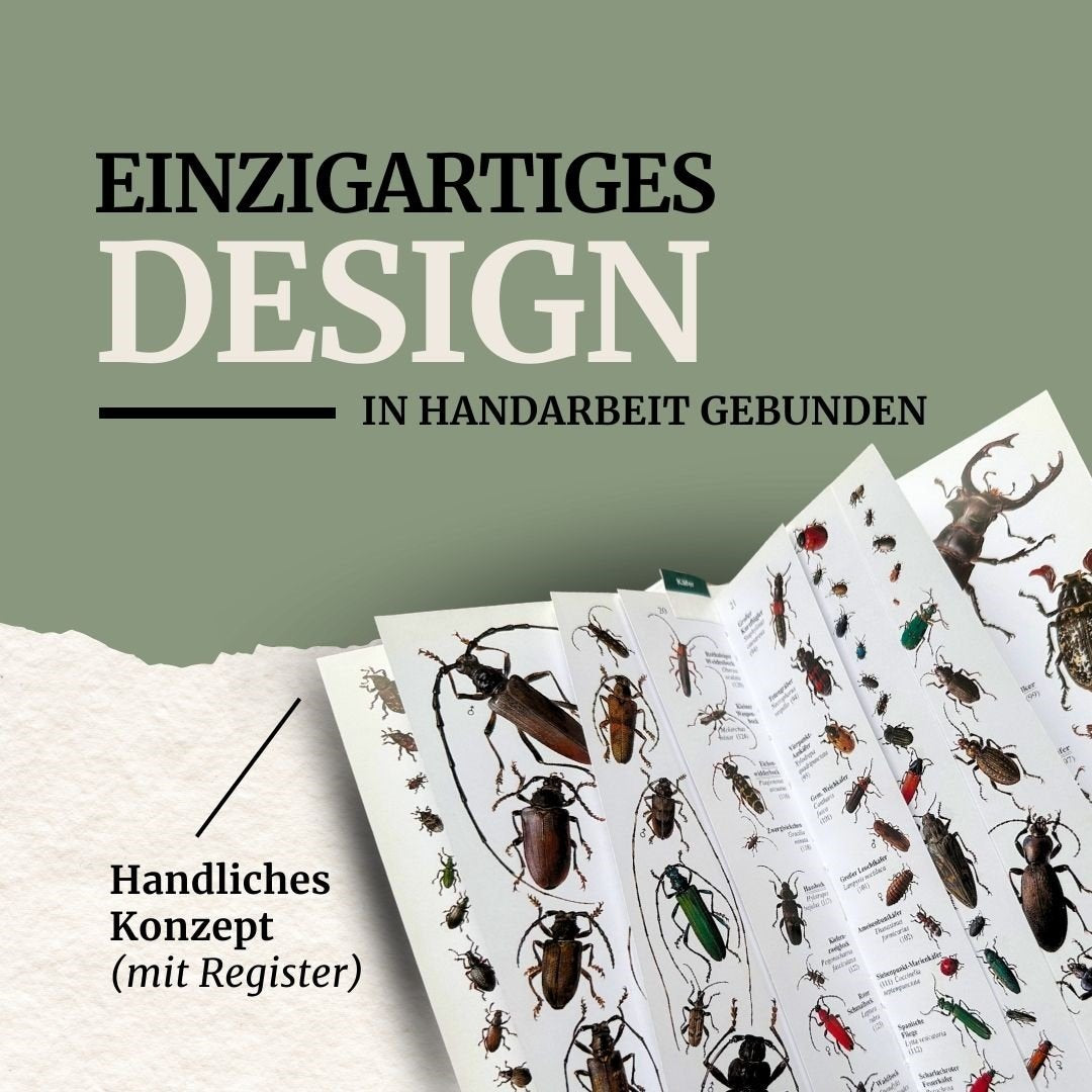 kerfe des waldes bestimmungsbuch