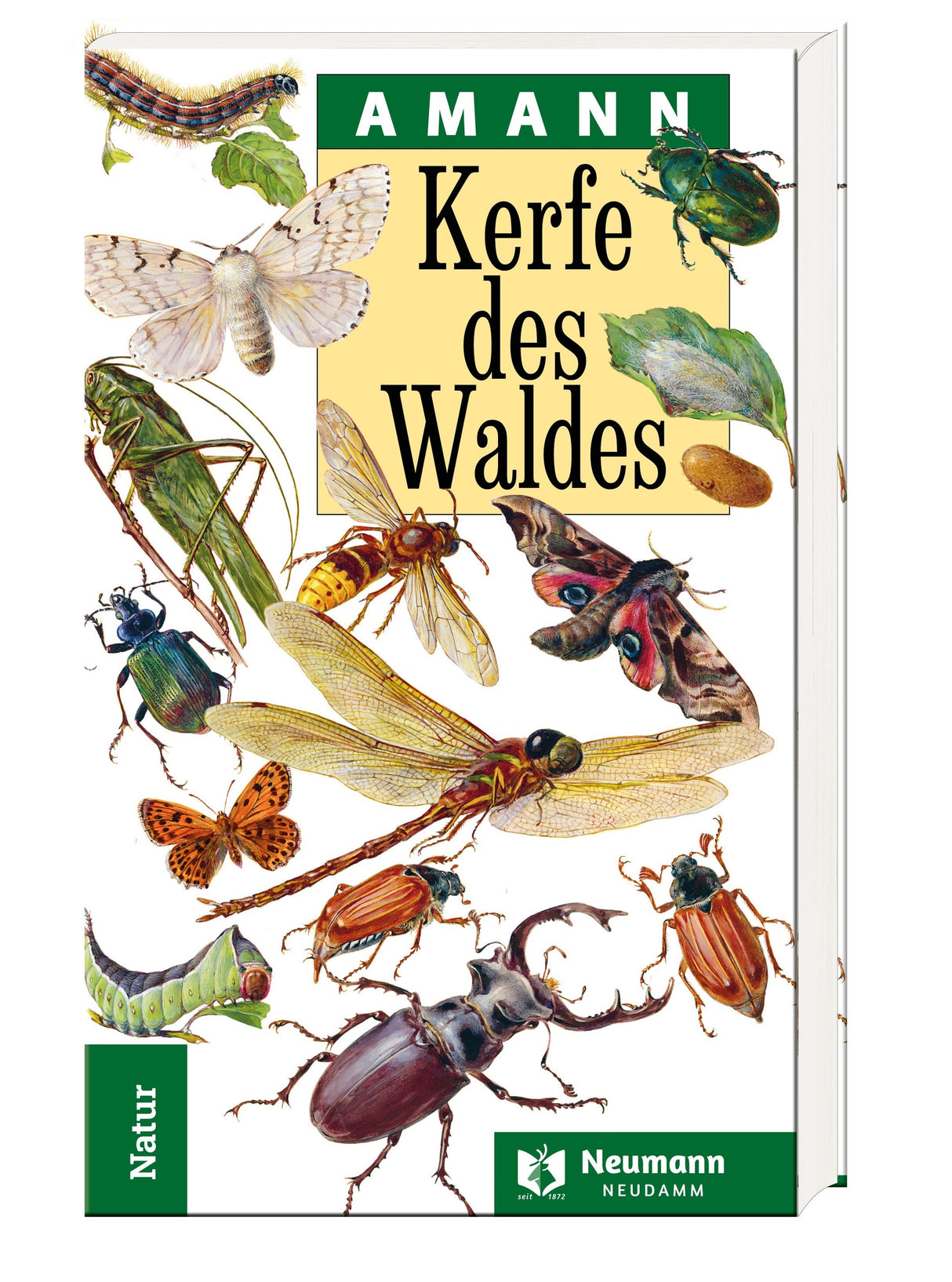 kerfe des waldes amann buch
