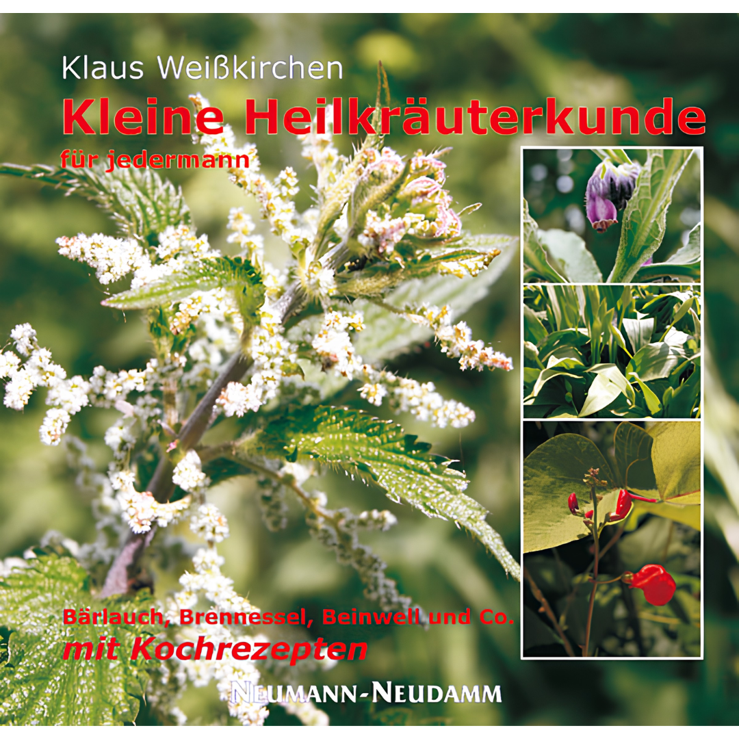 Kleine Heilkräuterkunde für jedermann von Klaus Weißkirchen