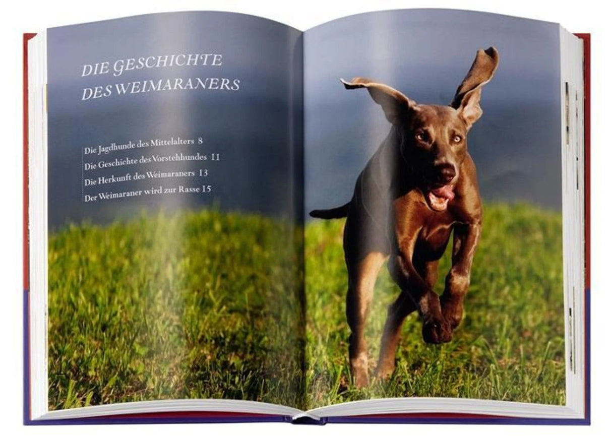 Weimaraner Innenansicht Buch Kosmos