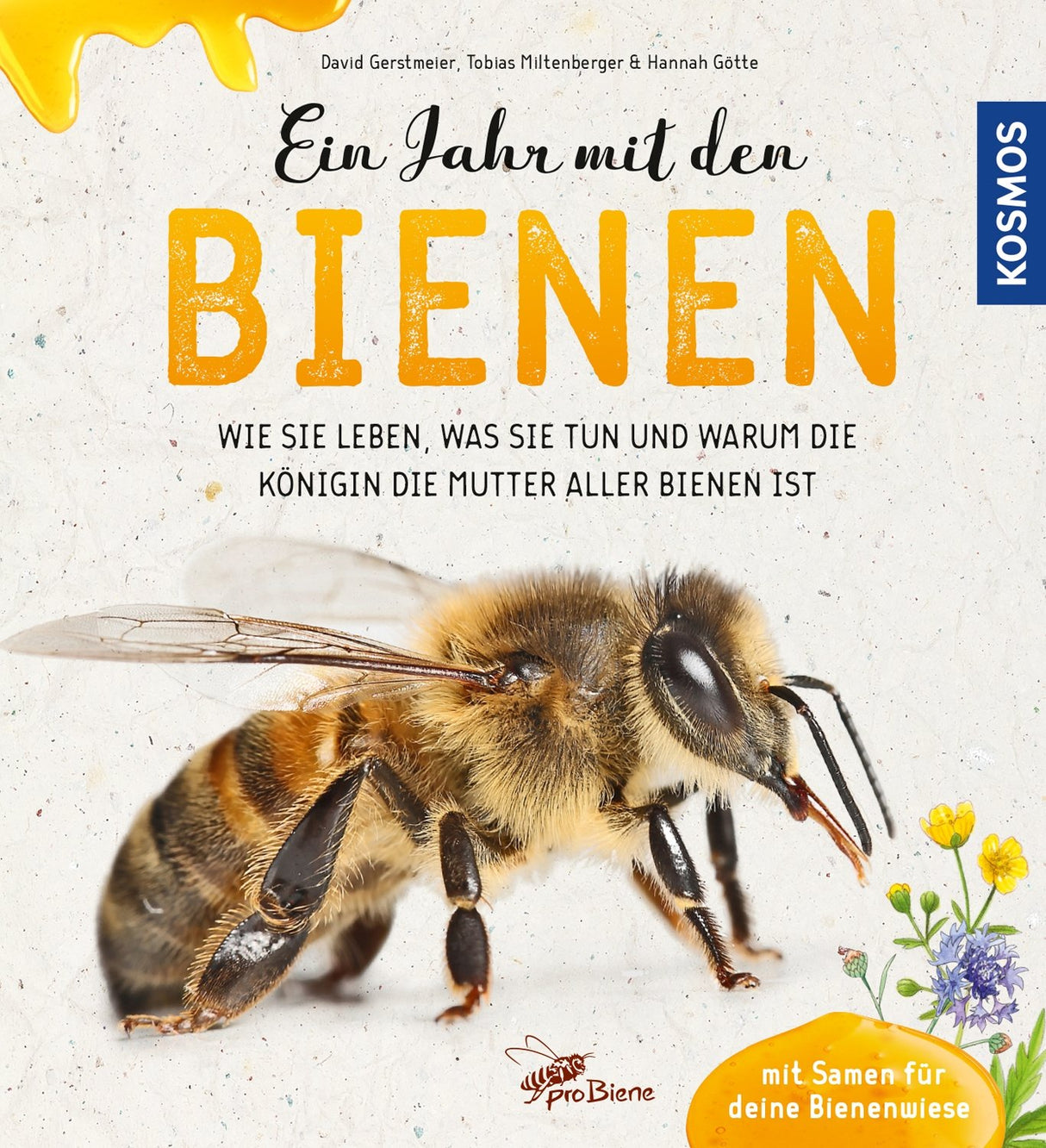 Ein Jahr mit den Bienen - Kosmos Buch