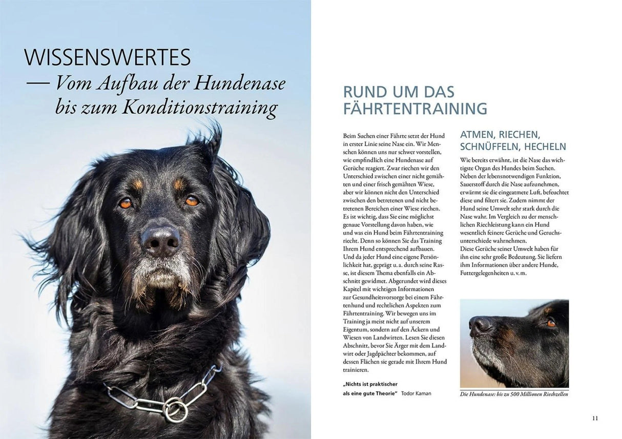 Trainingsbuch Faehrtenarbeit Innen