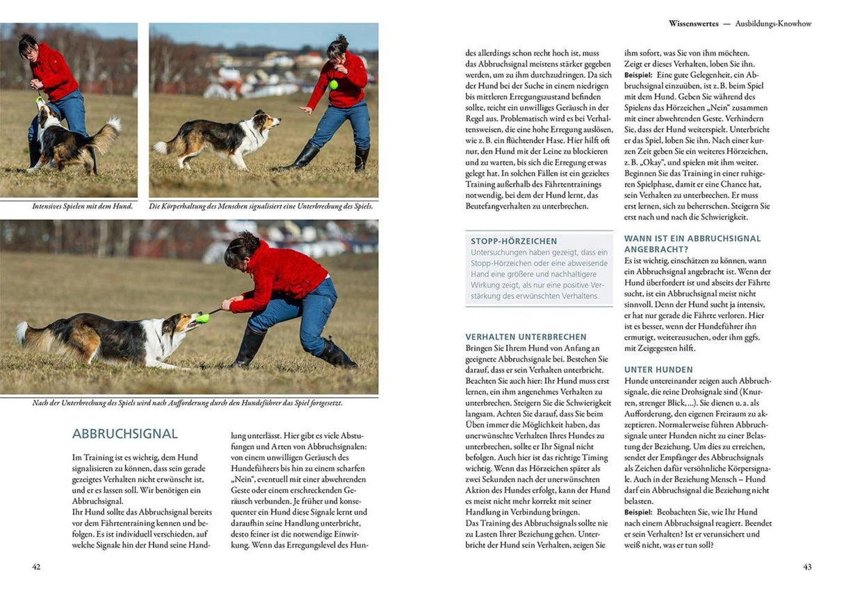 Trainingsbuch Faehrtenarbeit Training