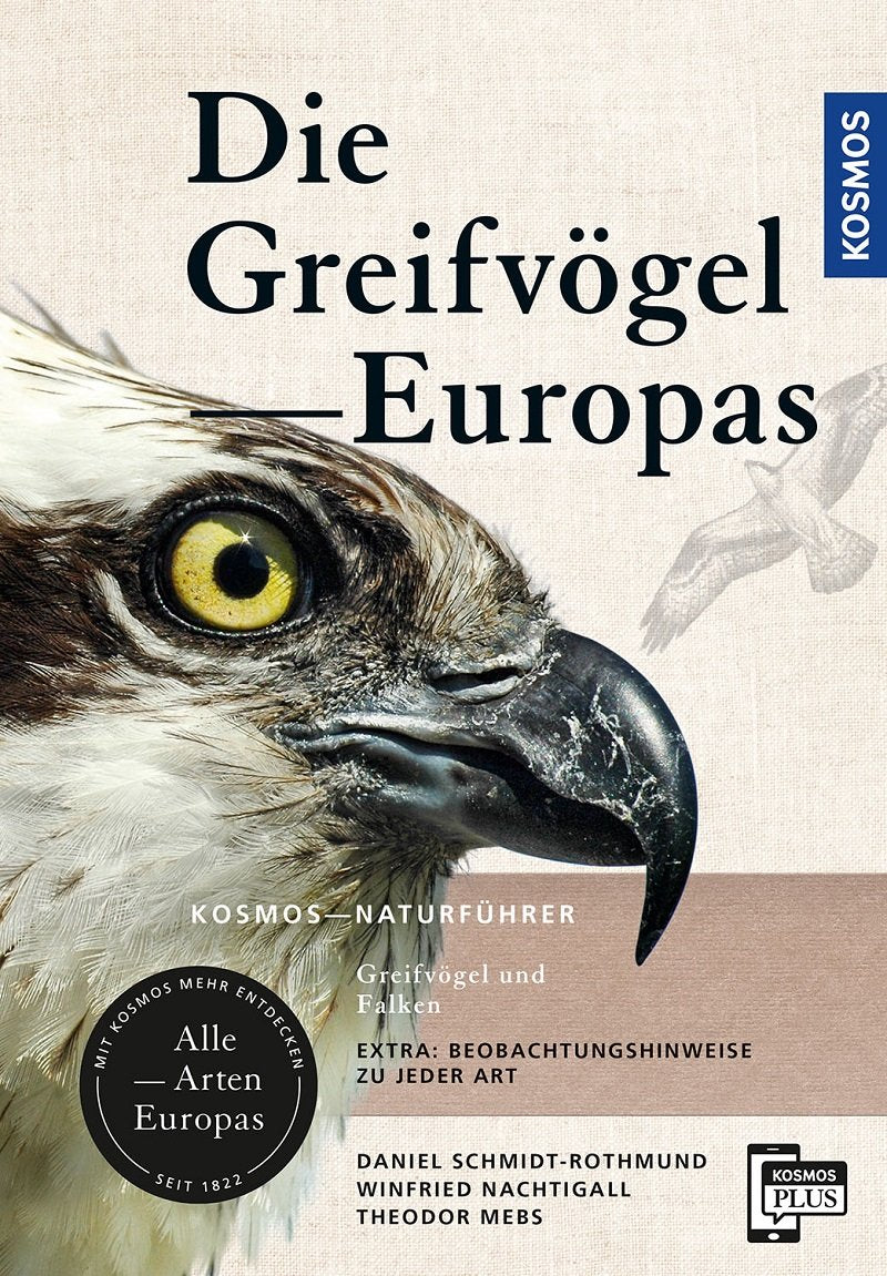 Greifvoegel und Falken Europas