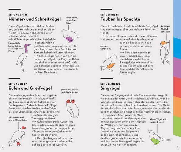 Basic Voegel bestimmen Innenansicht