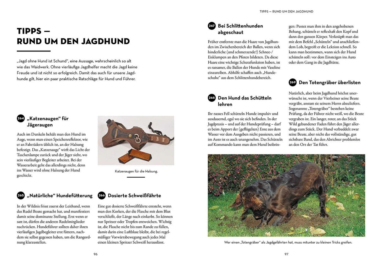 Praxistipps fuer Jaeger Innenansicht 3