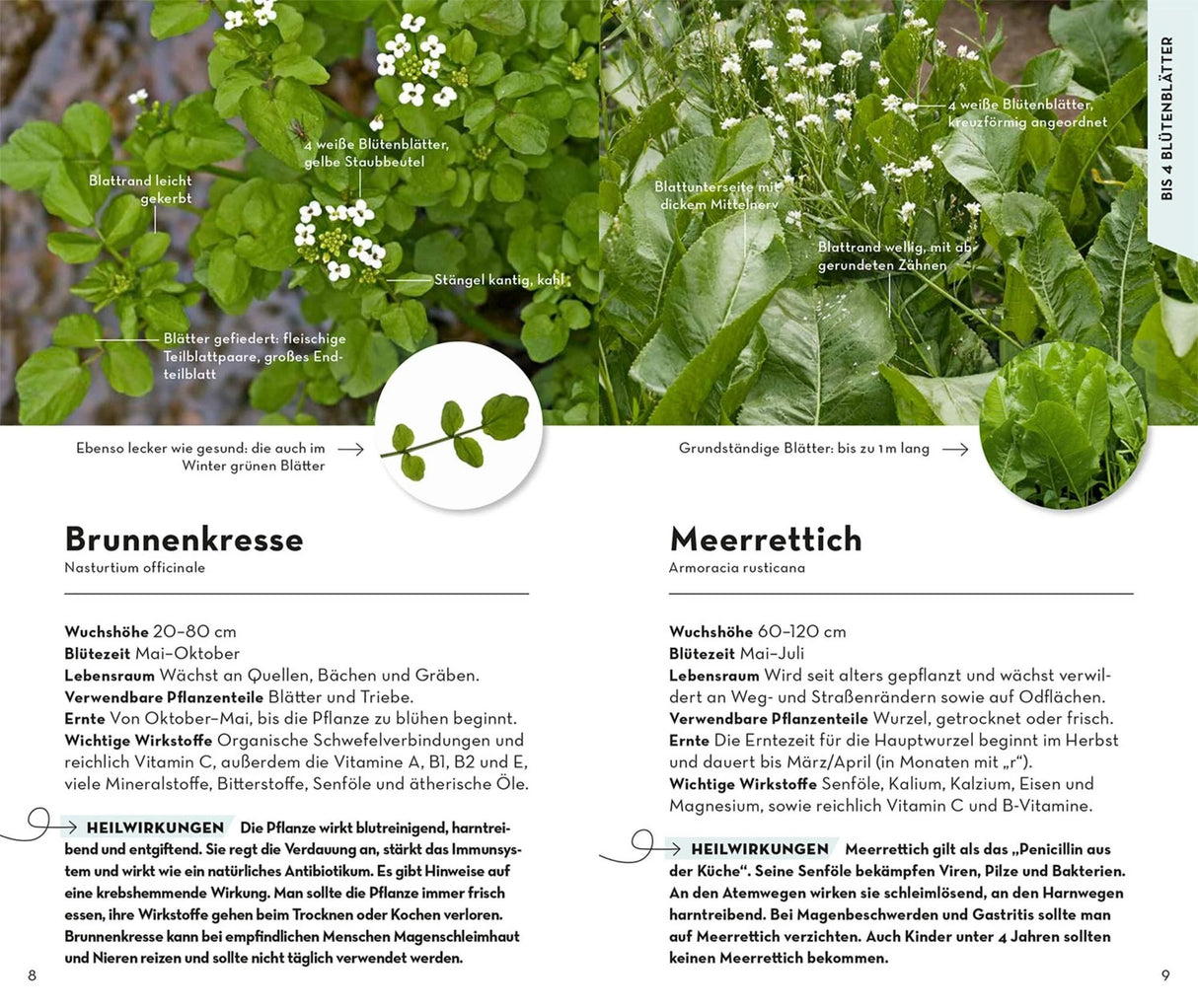 Heilpflanzen Bestimmungsbuch