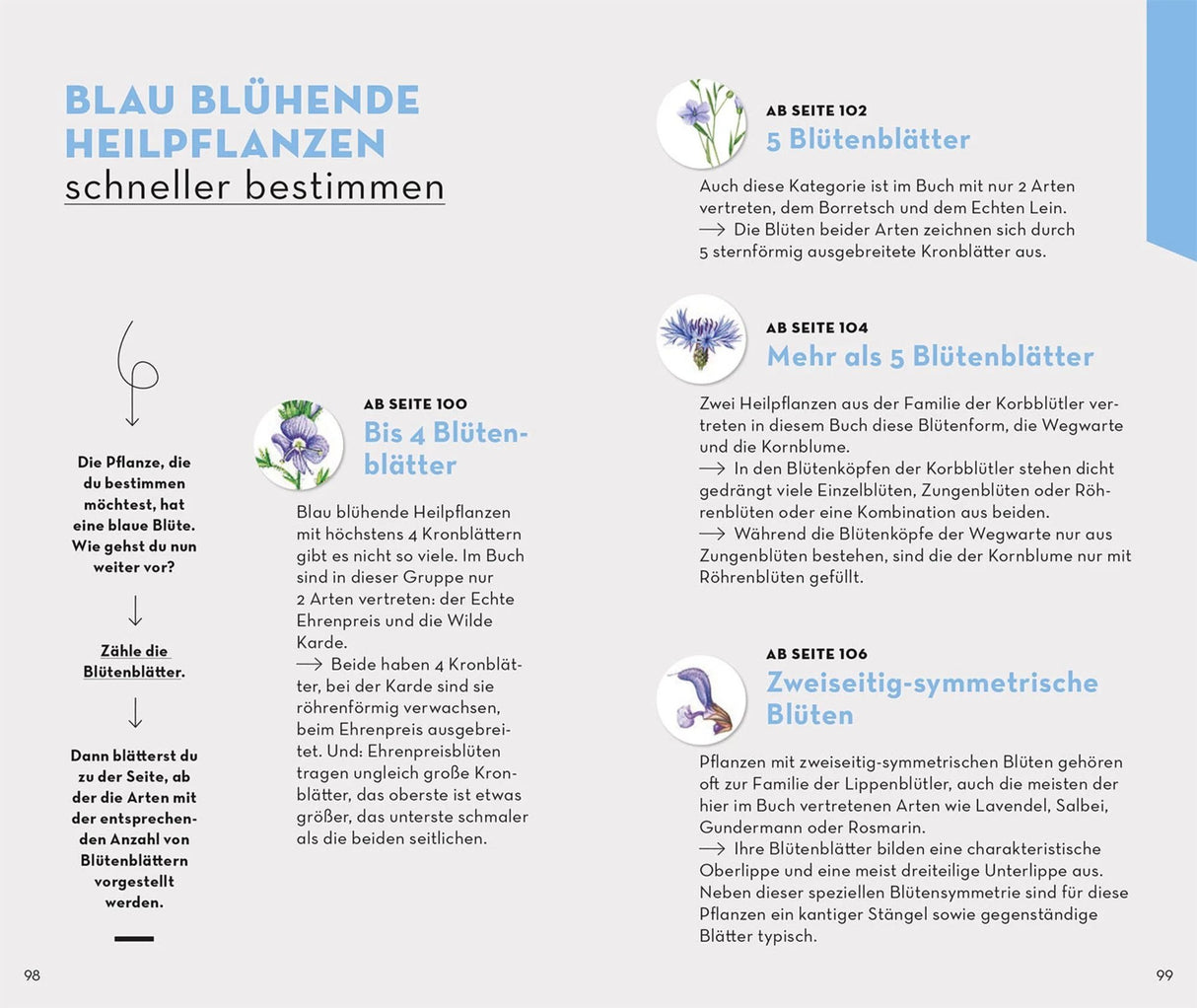 BASIC Heilpflanzen