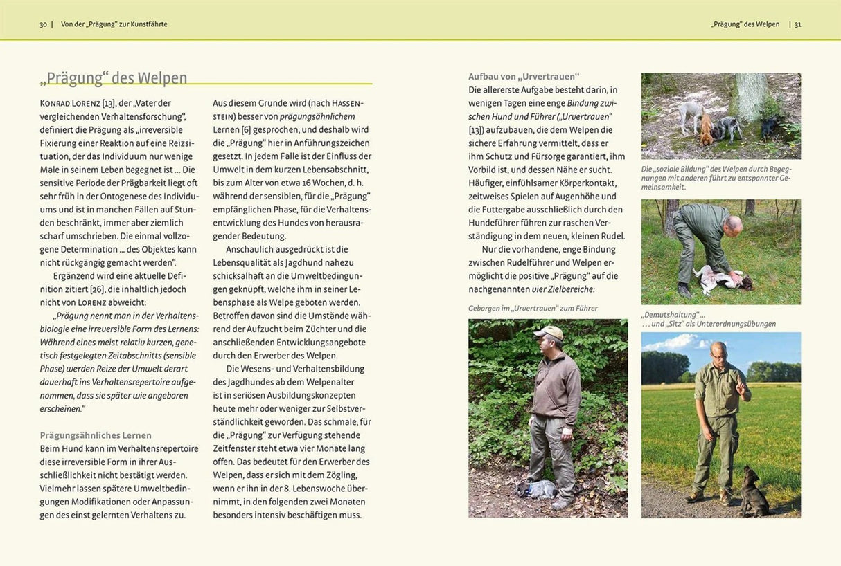 jagdhundausbildung nachsuche