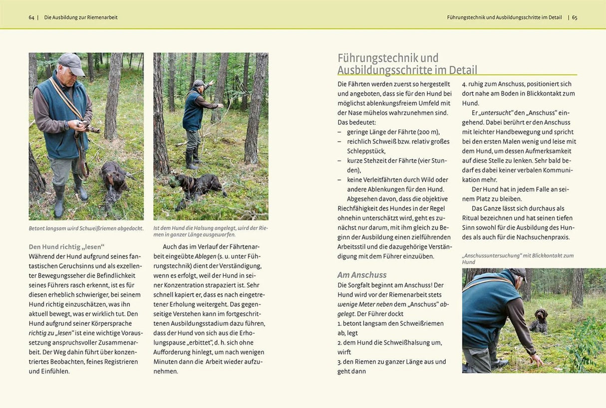 nachsuchen mit hund ratgeber