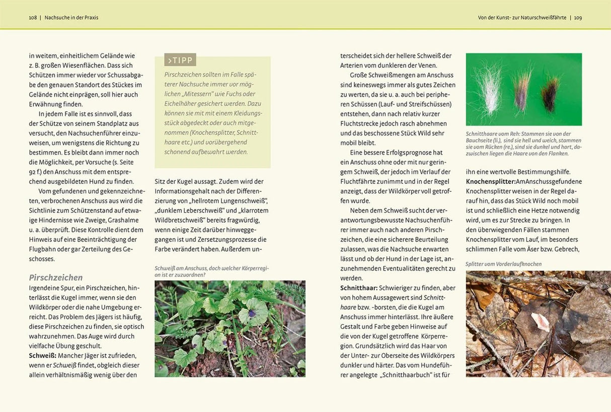 Jagdhund Ratgeber Kosmos