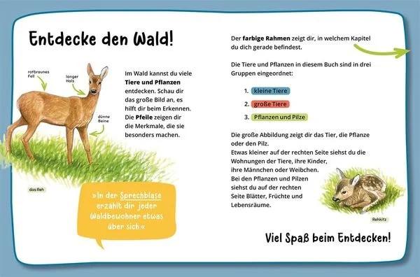 mein erster naturfuehrer naturbuch kind