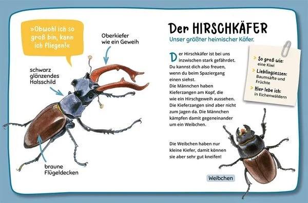 kinderbuch natur entdecken